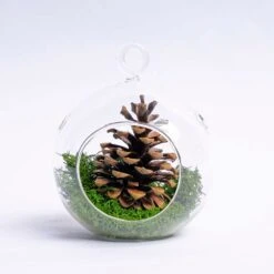 Glass Christmas Ball - Pinecone And Reindeer Moss