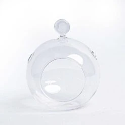 Glass Christmas Ball - Airplant And Reindeer Moss -UrbanJngl Terrarium Plants 19811 kerstbal glas helder 825c7159 c57b 4212 999c 32e9acb6fafb