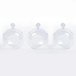 Glass Christmas Ball - Airplant And Reindeer Moss -UrbanJngl Terrarium Plants 3x19811