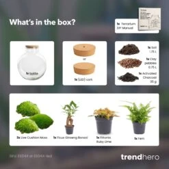 Bolder Bob Bonsai - Terrarium With Light - Bottle Garden DIY Kit - Ø 31 Cm ↑ 30 Cm -UrbanJngl Terrarium Plants Bolder bob bonsai red terrarium diy bottle garden