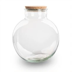 Terrarium Bottle 'Bolder Bob' - Incl. (LED) Cork - Closed Terrarium Ø 30 Cm ↑ 31 Cm -UrbanJngl Terrarium Plants BolderBob terrarium fles kurk