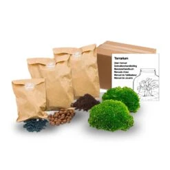 Terrarium Package – Refill & Starter Package – DIY Terrarium Kit – Size S/M -UrbanJngl Terrarium Plants DIY REfill Kit Size s m Mini Refill