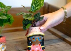 Mini Flower Pot Multi Color – Mini Jill - ↑ 10.2 Cm - Face Head -UrbanJngl Terrarium Plants DSC04798 2