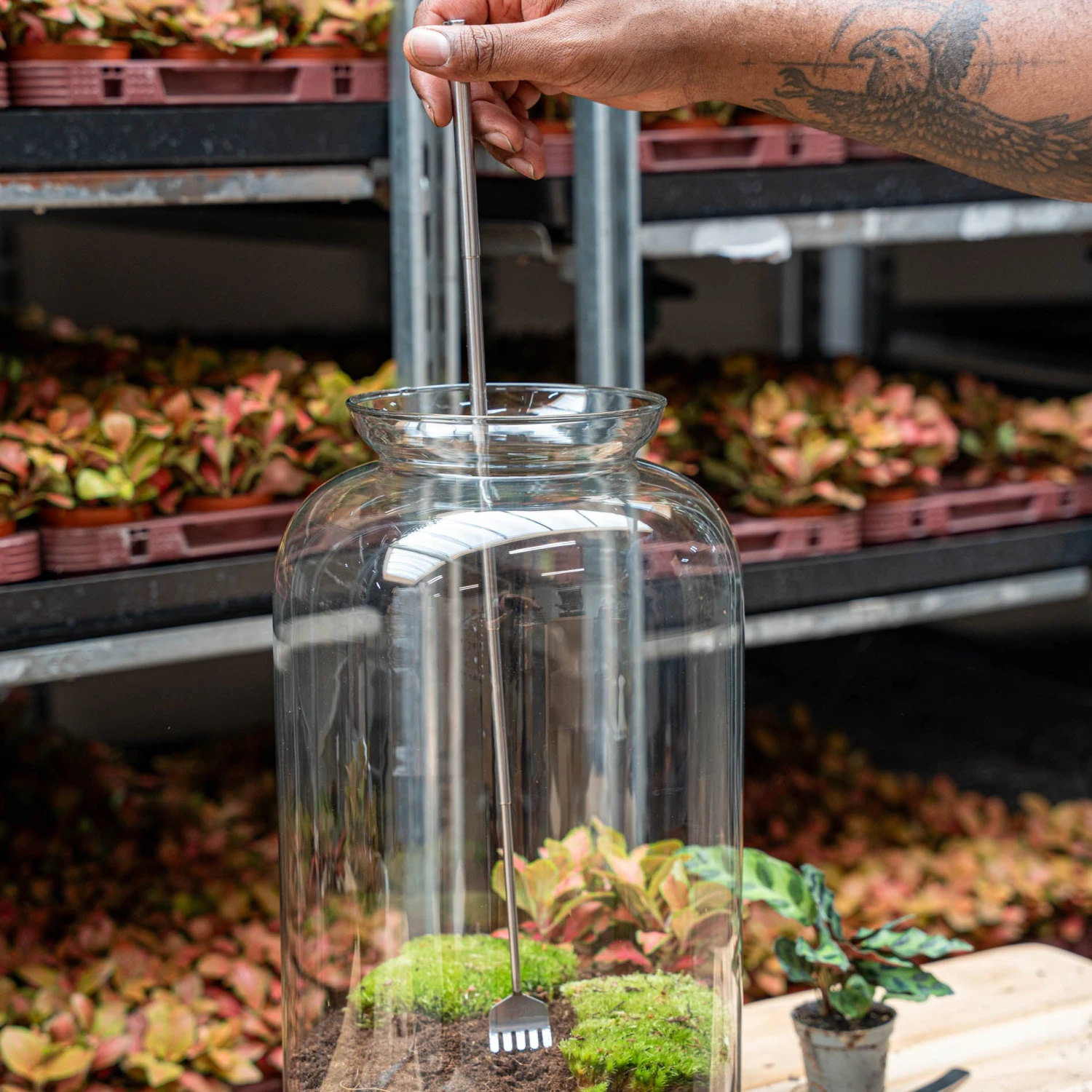 Terrarium Tool - Rake - 16-49 Cm - Telescopic - Stainless Steel 5 Terrarium Tool - Rake - 16-49 Cm - Telescopic - Stainless Steel - Image 5