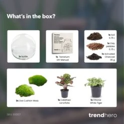 Dome - Two-part Round Glass Terrarium - Bottle Garden DIY Kit - Ø 20 Cm ↑ 20 Cm 8 Dome - Two-part Round Glass Terrarium - Bottle Garden DIY Kit - Ø 20 Cm ↑ 20 Cm -UrbanJngl Terrarium Plants Dome green terrarium diy bottle garden