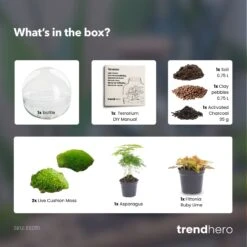 Dome Red - Two-part Round Glass Terrarium - Bottle Garden DIY Kit - Ø 20 Cm ↑ 20 Cm 7 Dome Red - Two-part Round Glass Terrarium - Bottle Garden DIY Kit - Ø 20 Cm ↑ 20 Cm -UrbanJngl Terrarium Plants Dome red terrarium diy bottle garden