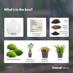 Dome XL Bonsai - Two-part Round Glass Terrarium - Bottle Garden DIY Kit - Ø 28 Cm ↑ 28 Cm -UrbanJngl Terrarium Plants Dome xl bonsai terrarium diy bottle garden