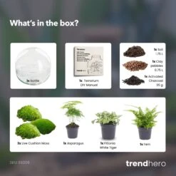 Dome XL - Two-part Round Glass Terrarium - Bottle Garden DIY Kit - Ø 28 Cm ↑ 28 Cm -UrbanJngl Terrarium Plants Dome xl green terrarium diy bottle garden