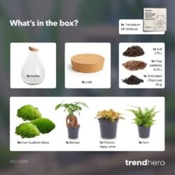 Drop XL Red - Terrarium With Cork - Bottle Garden DIY Kit – Ø 24 Cm ↑ 37 Cm -UrbanJngl Terrarium Plants Drop XL Bonsai red terrarium diy bottle garden 95717320 ffce 4ef1 b7ff 441242f51cb5