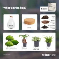 Drop XL Green - Terrarium With Cork - Bottle Garden DIY Kit – Ø 24 Cm ↑ 37 Cm 5 Drop XL Green - Terrarium With Cork - Bottle Garden DIY Kit – Ø 24 Cm ↑ 37 Cm -UrbanJngl Terrarium Plants Drop XL Bonsai white terrarium diy bottle garden a0881a44 9705 4e06 95b5 a7d275935994