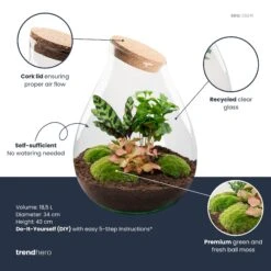 Drop XXL Red - Terrarium With Cork - Bottle Garden DIY Kit - Ø 34 Cm ↑ 43 Cm -UrbanJngl Terrarium Plants Drop XXL red plant terrarium diy kit info trendhero d37f5666 08c8 4440 8d61 20857996cf27