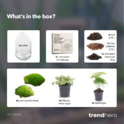 Egg XL - Terrarium - Two-part Glass Dome - Bottle Garden DIY Kit - Ø 17.5 Cm ↑ 30 Cm -UrbanJngl Terrarium Plants Egg XL green plant terrarium diy bottle garden e41f15e0 4c72 465f 9618 517a0a74c3ad