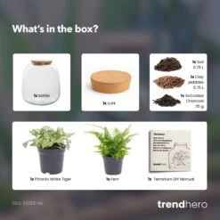 Emma Mini - Terrarium With Cork - Bottle Garden DIY Kit - Ø 19 Cm ↑ 20 Cm -UrbanJngl Terrarium Plants Emma mini choose terrarium diy bottle garden