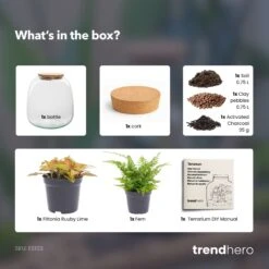 Emma Mini - Terrarium With Cork - Bottle Garden DIY Kit - Ø 19 Cm ↑ 20 Cm -UrbanJngl Terrarium Plants Emma mini red diy bottle garden