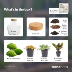 Fat Joe Red - Terrarium With Light - Bottle Garden DIY Kit - Ø 29 Cm ↑ 30 Cm -UrbanJngl Terrarium Plants Fat Joe Red terrarium diy bottle garden 0238eeb5 2d99 4fbf 9e3f 218b29e7d385