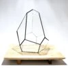 Geometric Terrarium - Jungle Gem - Vivarium - ↑ 16 X 15 X 19,5 Cm (LxWxH) - Glass