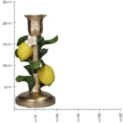 Candle Holder With Lemon Plant - ↑ 22 Cm -UrbanJngl Terrarium Plants KAL 1978 4