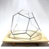 Geometric Terrarium - Torno - Vivarium - ↑ 28 X 26 X 24 Cm (LxWxH) - Glass