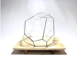 Geometric Terrarium - Torno - Vivarium - ↑ 28 X 26 X 24 Cm (LxWxH) - Glass 10 Geometric Terrarium - Torno - Vivarium - ↑ 28 X 26 X 24 Cm (LxWxH) - Glass -UrbanJngl Terrarium Plants LUNARCAMPA 3