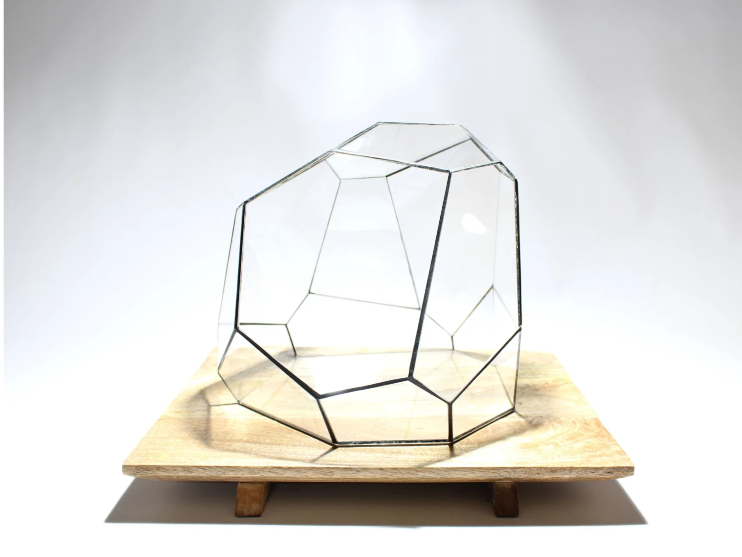 Geometric Terrarium - Torno - Vivarium - ↑ 28 X 26 X 24 Cm (LxWxH) - Glass 3 Geometric Terrarium - Torno - Vivarium - ↑ 28 X 26 X 24 Cm (LxWxH) - Glass - Image 3