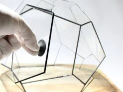 Geometric Terrarium - Torno - Vivarium - ↑ 28 X 26 X 24 Cm (LxWxH) - Glass 11 Geometric Terrarium - Torno - Vivarium - ↑ 28 X 26 X 24 Cm (LxWxH) - Glass -UrbanJngl Terrarium Plants LUNARCAMPA 4