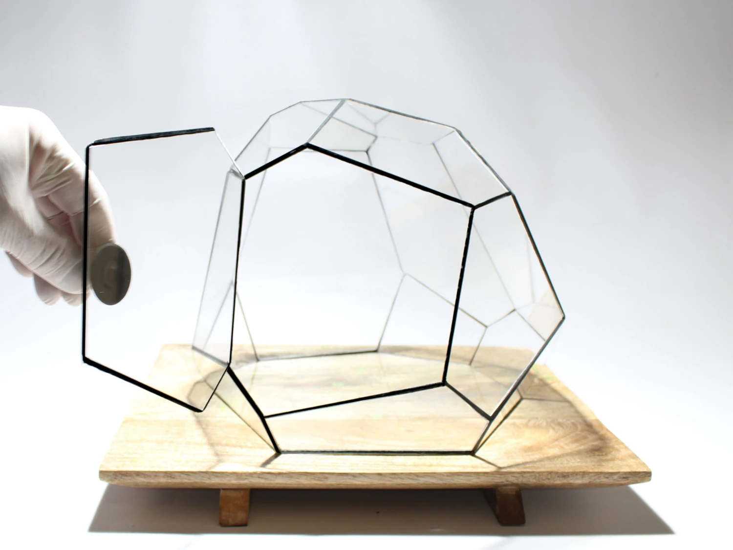 Geometric Terrarium - Torno - Vivarium - ↑ 28 X 26 X 24 Cm (LxWxH) - Glass 5 Geometric Terrarium - Torno - Vivarium - ↑ 28 X 26 X 24 Cm (LxWxH) - Glass - Image 5