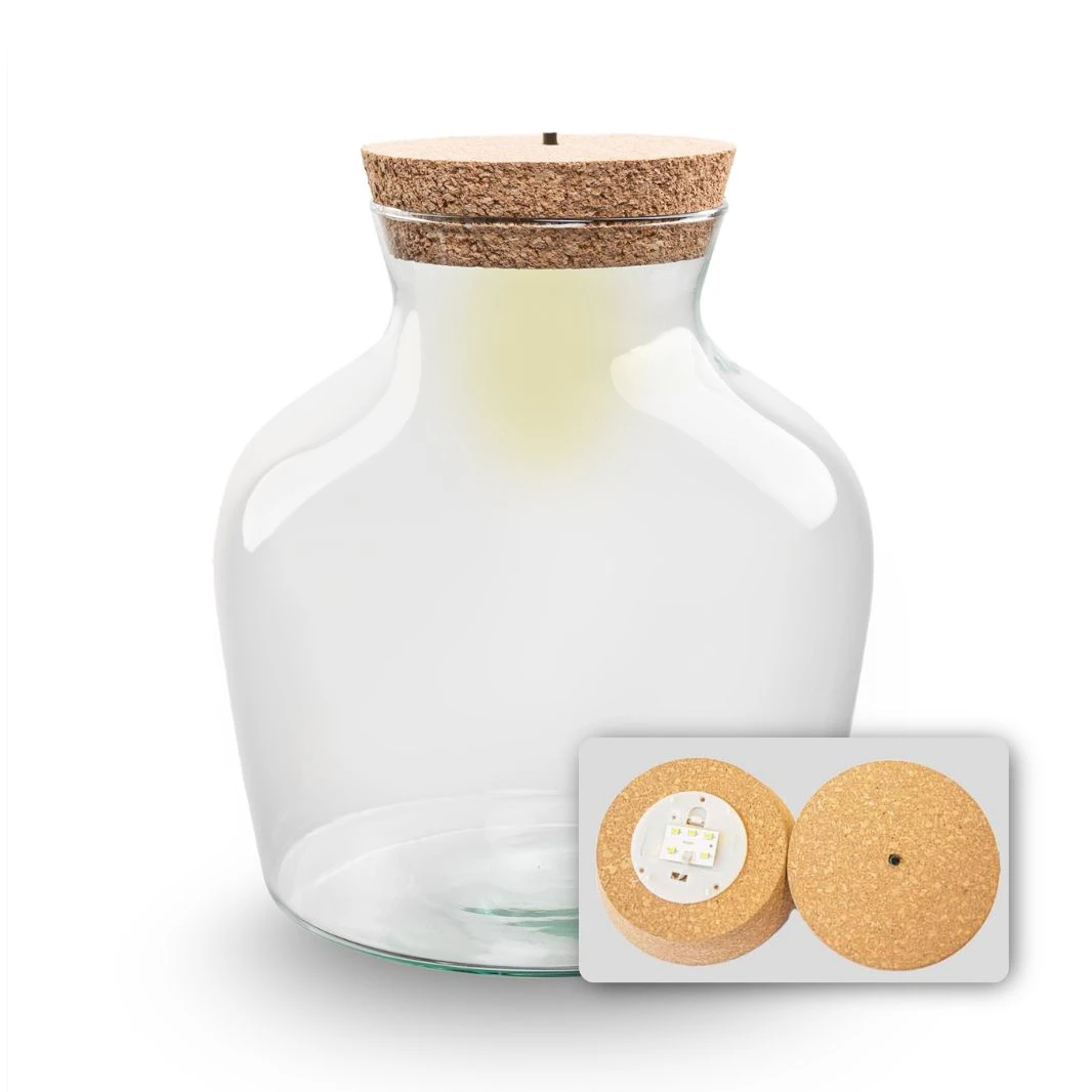 Terrarium Bottle 'Little Joe' - Incl. LED Cork - Closed Terrarium Ø 20 Cm ↑ 22 Cm 1 Terrarium Bottle 'Little Joe' - Incl. LED Cork - Closed Terrarium Ø 20 Cm ↑ 22 Cm