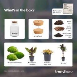 Milky Palm - Terrarium - Bottle Garden DIY Kit - Ø 21 Cm ↑ 30 Cm 9 Milky Palm - Terrarium - Bottle Garden DIY Kit - Ø 21 Cm ↑ 30 Cm -UrbanJngl Terrarium Plants Milky palm terrarium diy bottle garden 8d0f9886 08f7 4d0a a90e 968fb025c036