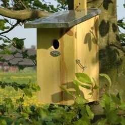 ESSCHERT DESIGN Observation Nesting Box - Birdhouse - Birds & Garden 8 ESSCHERT DESIGN Observation Nesting Box - Birdhouse - Birds & Garden -UrbanJngl Terrarium Plants Observatiekast vogelhuis Nestkast Trendhero.4