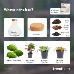 Sam XL Red - Terrarium With Light - Bottle Garden DIY Kit - Ø 30 cm ↑ 32 cm -UrbanJngl Terrarium Plants SamXL Red terrarium diy bottle garden