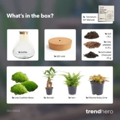 Sam XL Bonsai - Terrarium With Light - Bottle Garden DIY Kit - Ø 30 cm ↑ 32 cm 10 Sam XL Bonsai - Terrarium With Light - Bottle Garden DIY Kit - Ø 30 cm ↑ 32 cm -UrbanJngl Terrarium Plants SamXL bonsai terrarium diy bottle garden