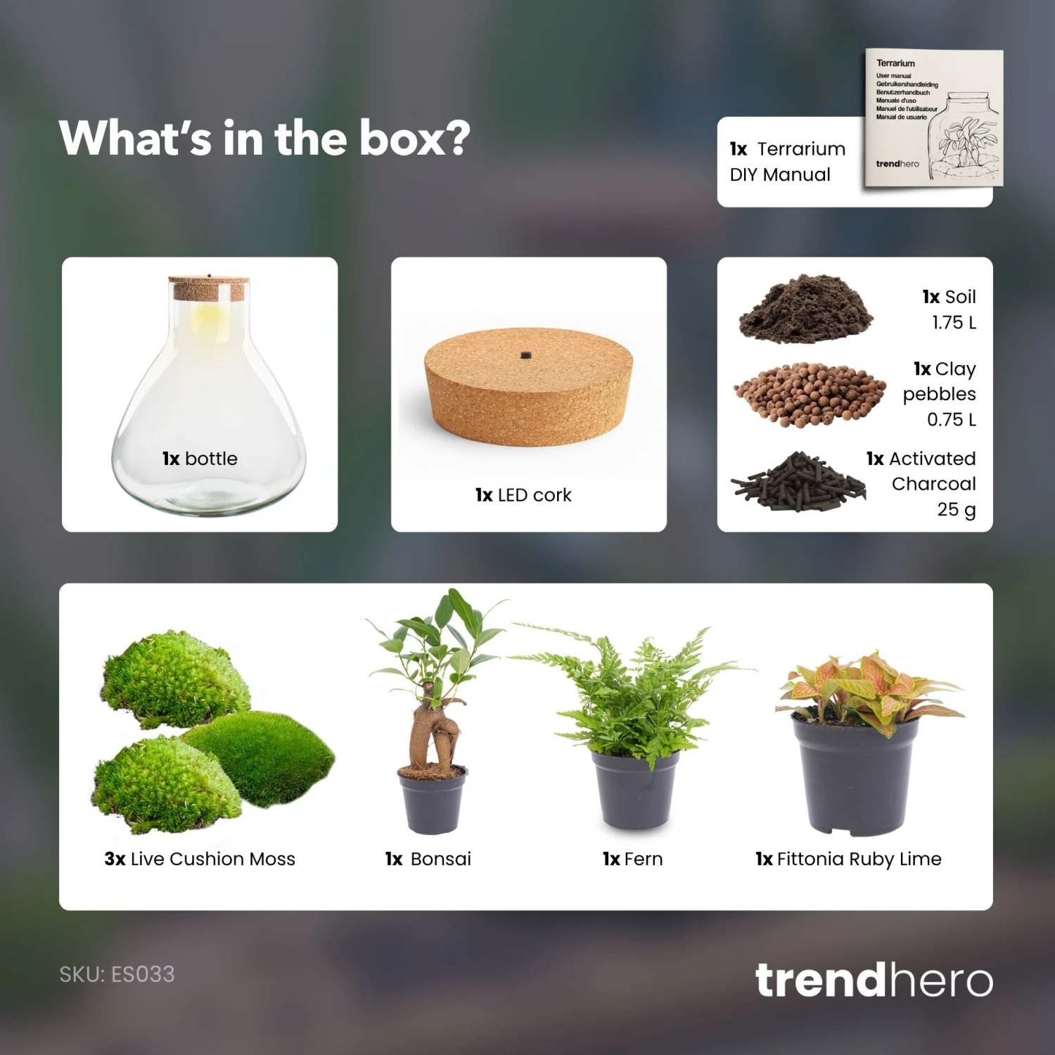 Sam XL Bonsai - Terrarium With Light - Bottle Garden DIY Kit - Ø 30 cm ↑ 32 cm 5 Sam XL Bonsai - Terrarium With Light - Bottle Garden DIY Kit - Ø 30 cm ↑ 32 cm - Image 5