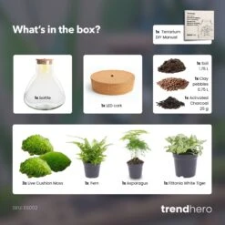 Sam XL - Terrarium With Light - Bottle Garden DIY Kit - Ø 30 cm ↑ 32 cm -UrbanJngl Terrarium Plants SamXL green terrarium diy bottle garden 23b341e9 38ea 4e25 96ce 8cb99336c5dc