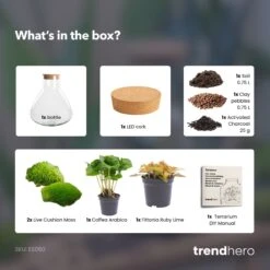 Sammie - Terrarium With Light - Bottle Garden DIY Kit - Ø 22,5 Cm ↑ 27 Cm -UrbanJngl Terrarium Plants Sammie coffea ruby terrarium diy bottle garden