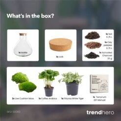 Sammie - Terrarium With Light - Bottle Garden DIY Kit - Ø 22,5 Cm ↑ 27 Cm -UrbanJngl Terrarium Plants Sammie coffea white terrarium diy bottle garden