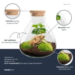 Sammie - Terrarium With Light - Bottle Garden DIY Kit - Ø 22,5 Cm ↑ 27 Cm -UrbanJngl Terrarium Plants Sammie red coffea plant terrarium diy kit info trendhero
