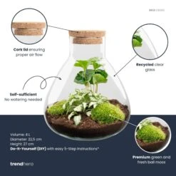 Sammie - Terrarium With Light - Bottle Garden DIY Kit - Ø 22,5 Cm ↑ 27 Cm -UrbanJngl Terrarium Plants Sammie white coffea plant terrarium diy kit info trendhero