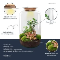Sven XL Bonsai - Terrarium With Light - Bottle Garden DIY Kit - Ø 23 Cm ↑ 43 Cm -UrbanJngl Terrarium Plants Sven xl bonsai red plant terrarium diy kit info trendhero de1d84c8 02bb 4eac a972 62c1f6389b4e