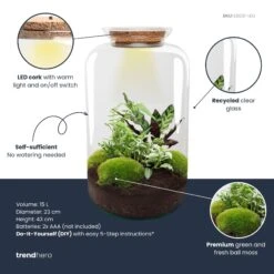 Sven XL Botanical - Terrarium With Light - Bottle Garden DIY Kit - Ø 23 Cm ↑ 43 Cm -UrbanJngl Terrarium Plants Sven xl botanical plant terrarium diy kit info trendhero