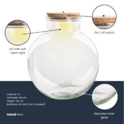 Terrarium Bottle 'Teddy' - Incl. (LED) Cork - Closed Terrarium Ø 25 Cm ↑ 26.5 Cm -UrbanJngl Terrarium Plants Terrarium fles trendhero bolder bob