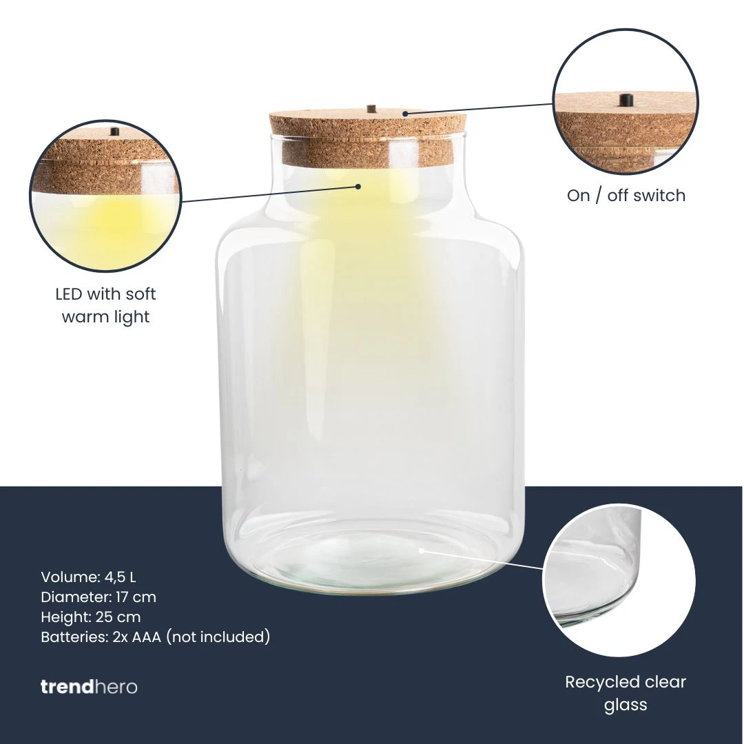 Terrarium Bottle 'Little Milky' - Incl. LED Cork - Closed Terrarium Ø 17 Cm ↑ 25 Cm 3 Terrarium Bottle 'Little Milky' - Incl. LED Cork - Closed Terrarium Ø 17 Cm ↑ 25 Cm - Image 3
