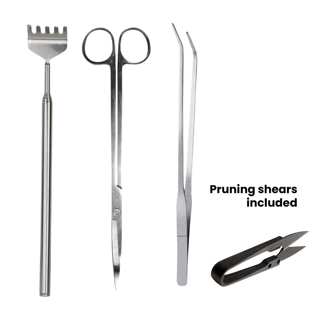 Terrarium Tools Bundle – Black Friday Deal 2 Terrarium Tools Bundle – Black Friday Deal - Image 2