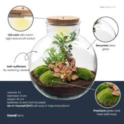 Bolder Bob Bonsai - Terrarium With Light - Bottle Garden DIY Kit - Ø 31 Cm ↑ 30 Cm -UrbanJngl Terrarium Plants bolder bob bonsai plant terrarium diy kit info trendhero