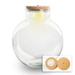 Terrarium Bottle 'Bolder Bob' - Incl. (LED) Cork - Closed Terrarium Ø 30 Cm ↑ 31 Cm -UrbanJngl Terrarium Plants bolder bob led light terrarium flaschengarten mit lampe