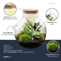 Bolder Bob - Terrarium With Light - Bottle Garden DIY Kit - Ø 31 Cm ↑ 30 Cm -UrbanJngl Terrarium Plants bolder bob plant terrarium diy kit info trendhero