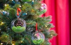 Glass Christmas Ball - Airplant And Reindeer Moss -UrbanJngl Terrarium Plants christmas glass ball with plant 001