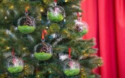 Glass Christmas Ball - Airplant And Reindeer Moss