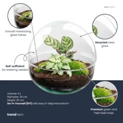 Dome - Two-part Round Glass Terrarium - Bottle Garden DIY Kit - Ø 20 Cm ↑ 20 Cm 7 Dome - Two-part Round Glass Terrarium - Bottle Garden DIY Kit - Ø 20 Cm ↑ 20 Cm -UrbanJngl Terrarium Plants dome plant terrarium diy kit info trendhero