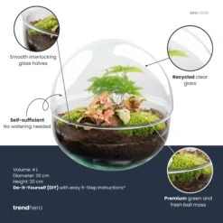 UrbanJngl Terrarium Plants -UrbanJngl Terrarium Plants dome rood plant terrarium diy kit info trendhero