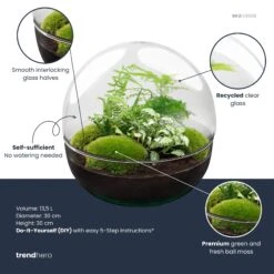 Dome XL - Two-part Round Glass Terrarium - Bottle Garden DIY Kit - Ø 28 Cm ↑ 28 Cm -UrbanJngl Terrarium Plants dome xl green plant terrarium diy kit info trendhero